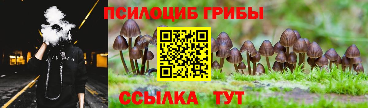 Галлюциногенные грибы Psilocybe Ирбит